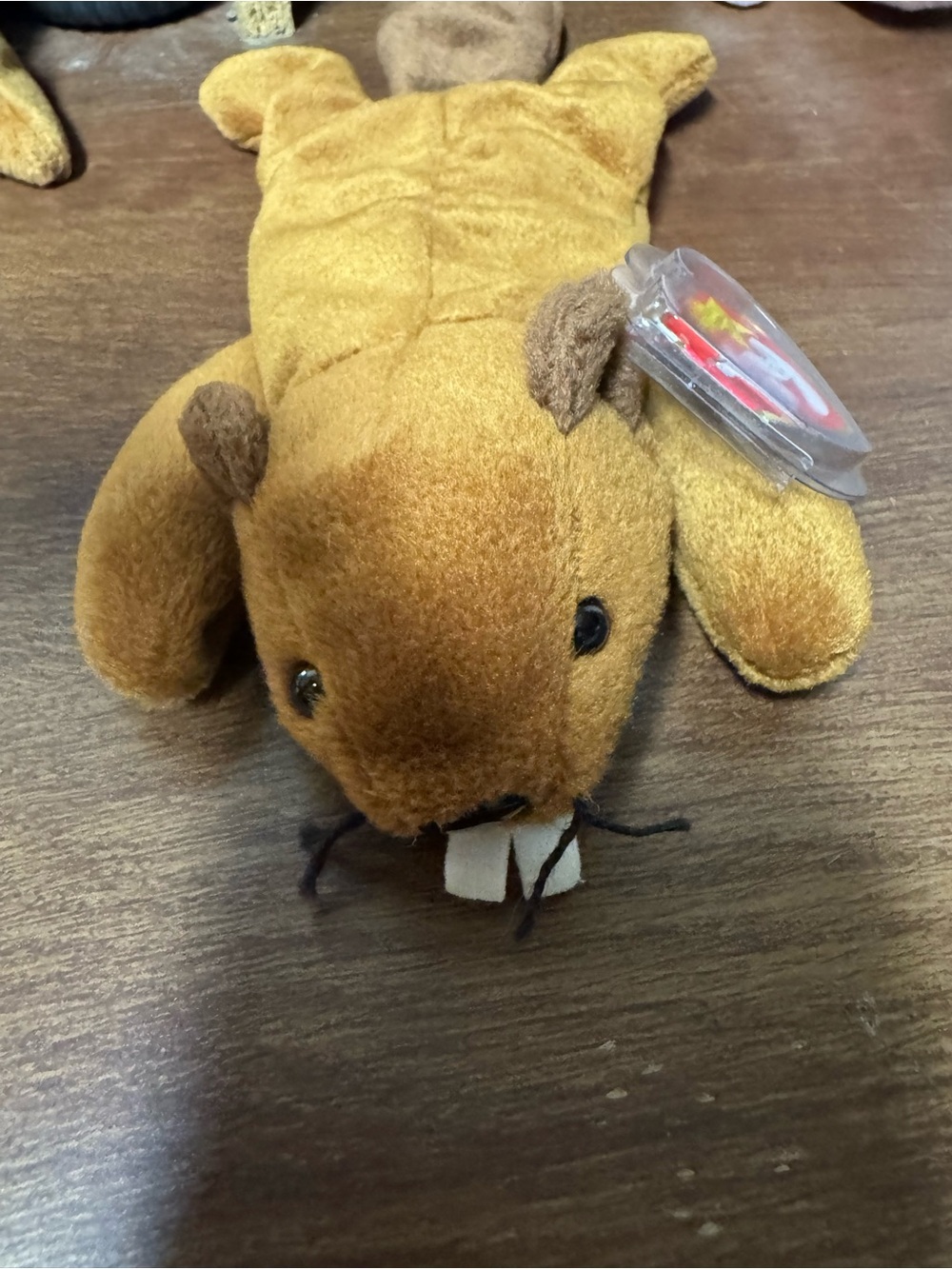 Vintage Ty Bucky the Beaver Beanie Baby 1995 4th Gen Tag